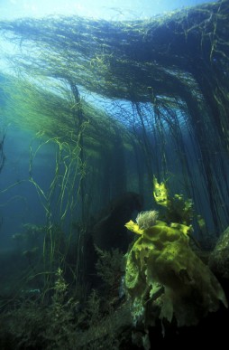 séminaire plongée sous marine