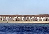 séjour plongée shagra sud egypte