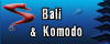 Safari Bali plongée indonésie