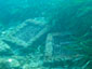 plongée sous-marine posidonie