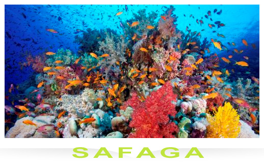 séjour plonghée safaga en egypte mer rouge
