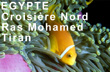croisière plongée egypte Nord Ras Mohamed Tiran 