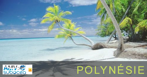 polynésie et destination plongée sous marine