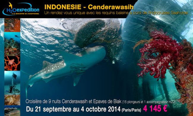 voyage plongée indonésie 2014