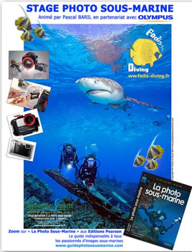 stage photo numérique plongée sous marine