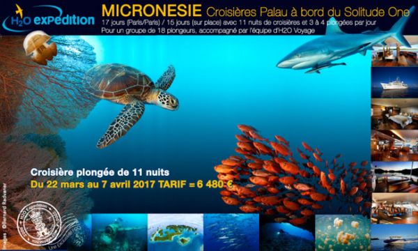 voyage et croisière plongée à Palau en Micronésie