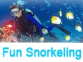 Fun snorkeling - Randonnée palmée