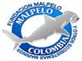 Fondation Malpelo - Protection espèces marines en Colombie