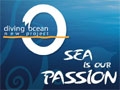Diving Ocean - Centres de plongée Mer Rouge