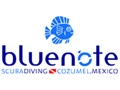 Blue Note - Centre de plongée Cozumel Mexique